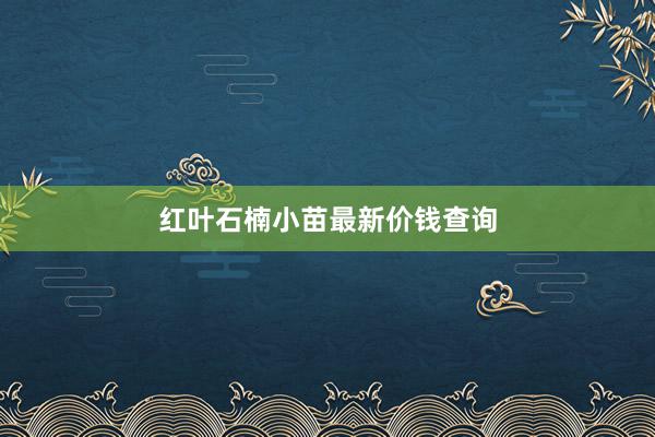红叶石楠小苗最新价钱查询